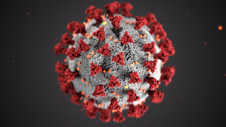 photo of virus